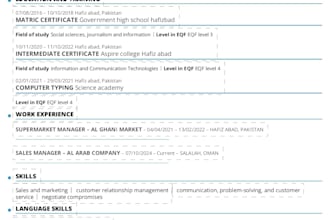 create a professional european CV and resume