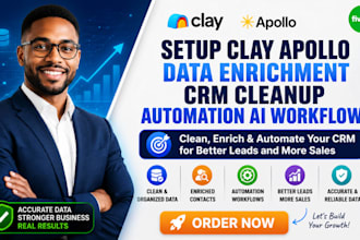 setup clay apollo data enrichment CRM cleanup automation ai workflows