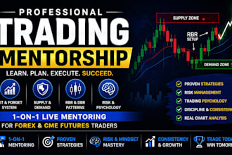mentor you in forex and cme futures trading