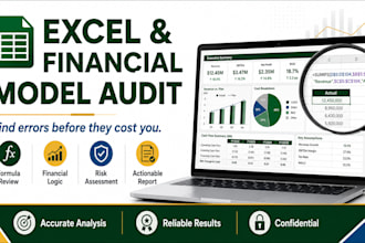 audit your excel spreadsheet and financial model