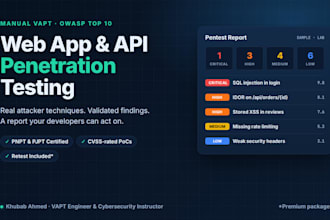 do web app and API penetration testing with a vapt report