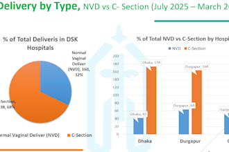 create for you excel dashboard and KPI reports