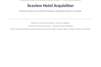build a financial model and analysis for your business or investment