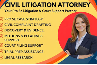 be your civil, business, contract litigation, employment conflicts lawyer