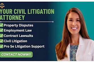 provide professional legal consultancy in family and civil matters in USA