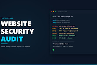 do a professional website security audit