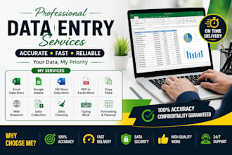 hight quality data entry in low price