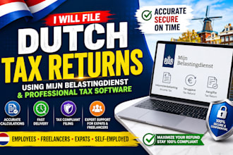 file dutch tax returns using mijn belastingdienst and professional tax software