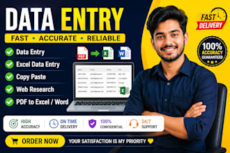 accurate data entry,excel data entry,copy paste,web explore