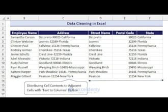 clean, format, merge, split excel data