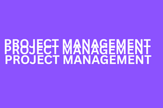 do project management for you