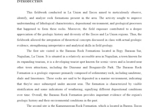 provide google docs formatting, and copywriting services