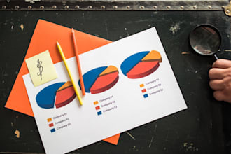 develop an urgent and professional business plan for your business or start up