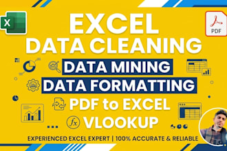 do excel data cleaning, formatting, and deduplication professionally