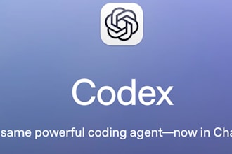 build secure backend apis and offer technical support