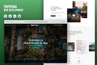 build luxury website design and website development