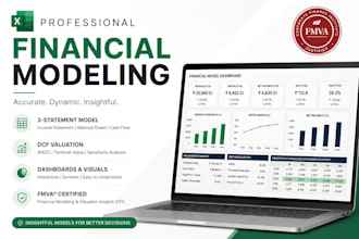 build a professional financial model in excel