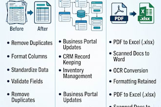 do expert excel data entry and database management