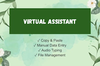 do manual data entry, copy paste, audio typing, and file management