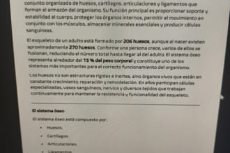 resúmenes, ensayos y redacciones de cualquier tema