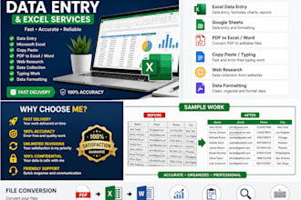 do a excel work, data entry, excel to pdf, PDF to excel,