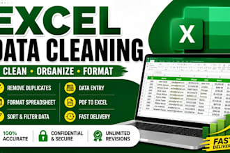 excel data cleaning formatting sorting and spreadsheet editing