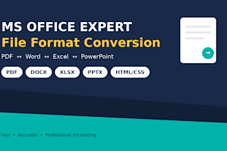 file format conversion and ms office tasks for you
