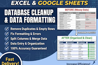 clean, format, and organize your excel or google sheets database