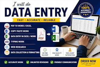do accurate data entry ,copy paste, PDF to world and excel