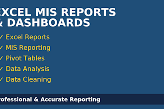create professional excel mis reports and dashboards