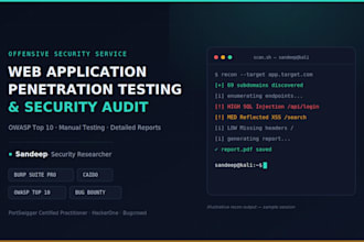 perform web application penetration testing and security audit