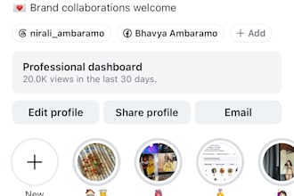 audit your instagram and give you a growth strategy