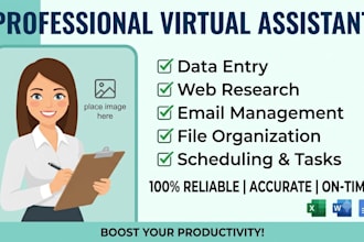 be your professional virtual assistant