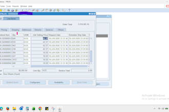 do data entry, excel and erp