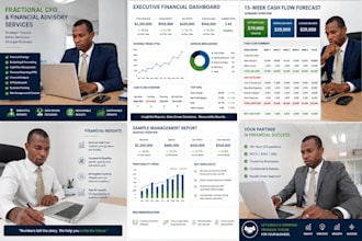 be your fractional cfo, financial controller and finance manager