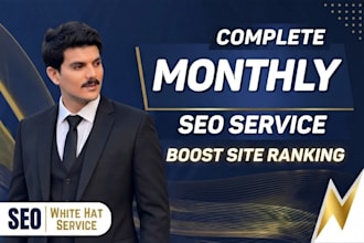 provide manual link building service via high da authority
