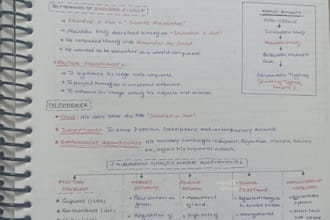 create neat handwritten notes and assignments for students