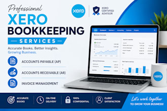 do professional xero bookkeeping,