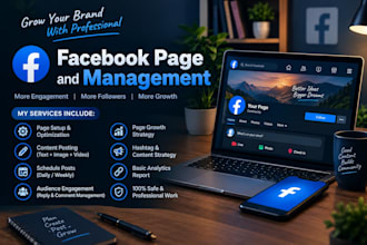 professionally manage and optimize your facebook page