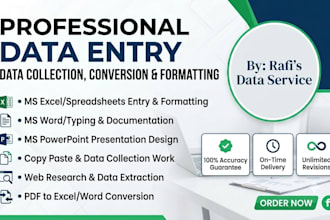 do professional data entry and ms office tasks