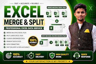 clean, format, merge and split excel data professionally