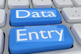 do data entry for your business
