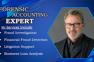 provide forensic accounting, fraud investigation and financial analysis