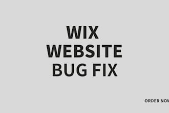 fix bugs in your website