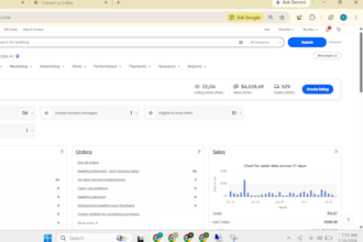 manage your ebay account and store professionally