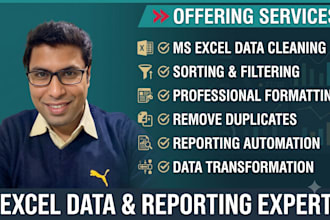 be your microsoft excel expert for dashboards and automation