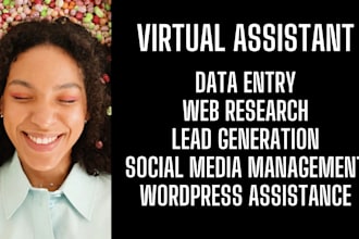 be your virtual assistant for data entry, data mining, copy paste, web research