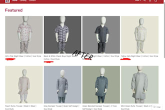 design your shopify store for e commerce and buisness