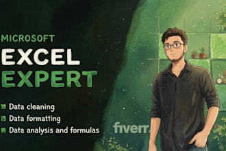 do data entry, excel expert work, and ai dashboards