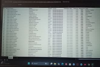 do professional excel data entry, data cleaning and financial analysis